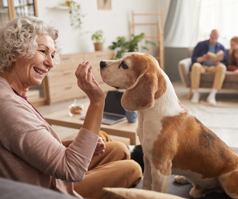 seniors caring for their pets